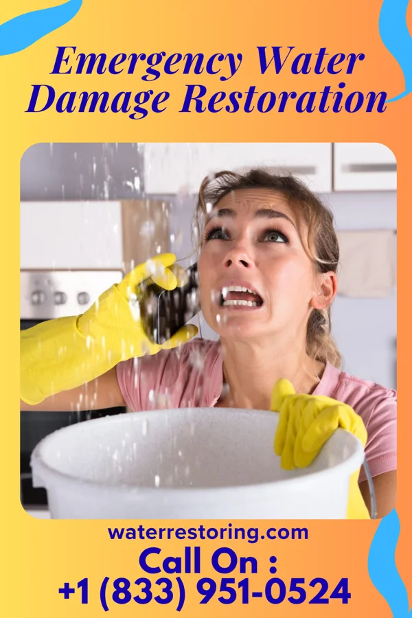 Emergency Water Damage Restoration in Camptown, VA