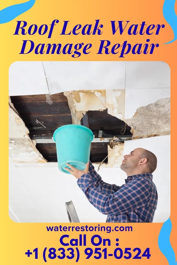 Roof Leak Water Damage Repair in Camptown, VA