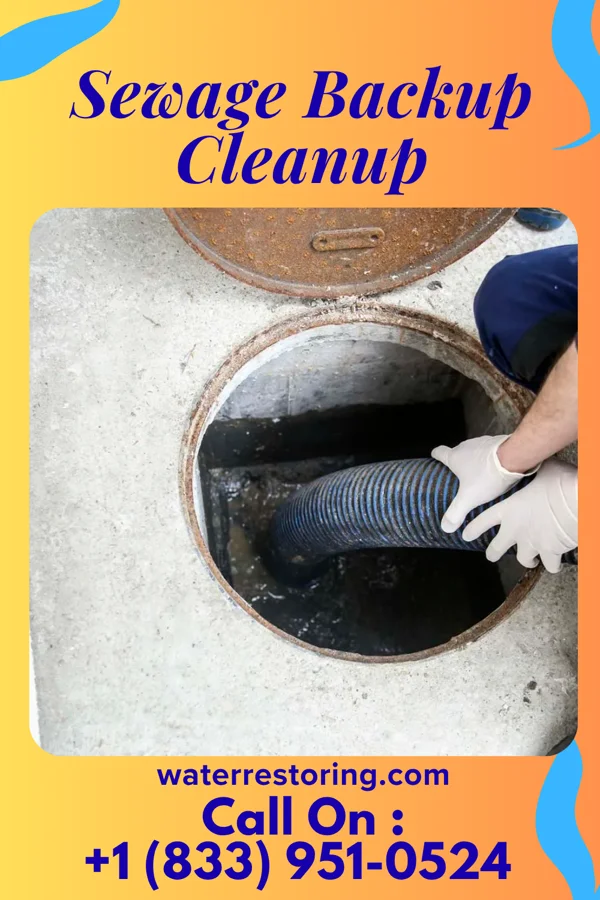 Sewage Backup Cleanup in Camptown, VA