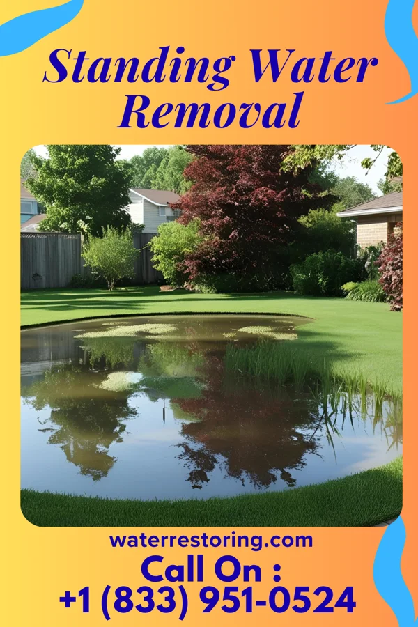 Standing Water Removal in Camptown, VA